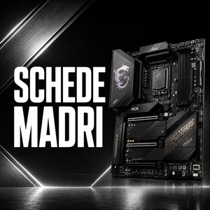 Schede madri
